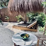 Phoenix Tulum