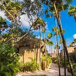 Phoenix * Tulum