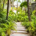 Phoenix Tulum