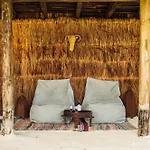 Phoenix Tulum