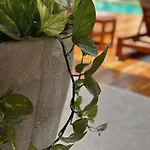 Studio In Ophelia Tulum H9