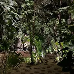 2 Bedroom Jungle Apartment In La Veleta - Palalma Casa