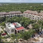 Naia