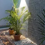 Colorful Downtown House With Private Pool Сasa de vacaciones Tulum