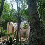 Unique Jungle Dome 2 Queen Beds