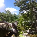Rancho Jaguares Campsite Tulum