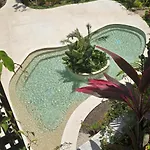 Mystics Gardens 2 Zen Studio