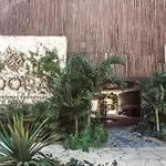 Alberca Privada, Cenote, Casa Baalam Tulum