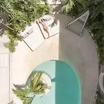 Peaceful Immersion In The Jungle Near The Beach