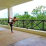 Private Jungle Cool Pool 500 Mbps Wi-fi 3 Bikes King Bed Tulum