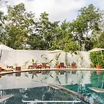 Family In The Jungle With Cenotes And Big Pool