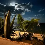 Tulum Seafront Luxury & Freedom With Staff