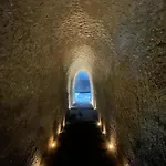 Tribu 204 Jungle Experience Ambience