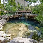 H31 Incredible With Balcony And Relax In Cenote