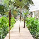 Kaabin Jungle Living C5