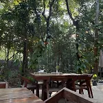 Selva - Hivenb * Tulum