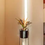 Nature Retreat With Tub And Terrace Apartamento *