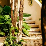 Your Dream Pool Bikes & Near Every Hotspot Tulum