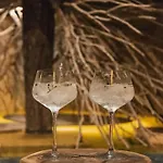 Jungle Luxury Romantic Club Private Pool Apartamento Tulum