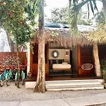 Mimosa Tulum