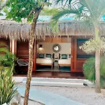 Mimosa Tulum