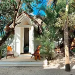 Mimosa Tulum