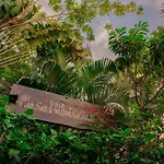 Casa Hibiscus Sky-High Pool With Birds Above The Jungle