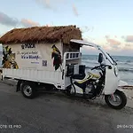 Maui Hostels Tulum