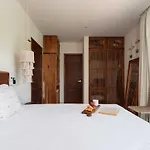 Acinte