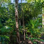 Chay Glass Jungle House