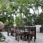 Oryx * Tulum