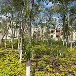 Casa Maya Comfortable Apartment In Tulum