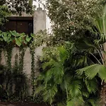 Shalva & Aviv Iconic Tulum Villas 200M Apart