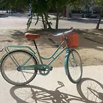 Perfect Studio Light And Nature In Aldea Zama