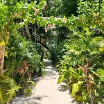 Discreet Luxury Between Jungle And Caribbean Mistiq T 2 * Tulum