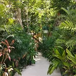 Apartamento Discreet Luxury Between Jungle And Caribbean Mistiq T 2 Tulum