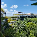 Discreet Luxury Between Jungle And Caribbean Mistiq T 2 * Tulum