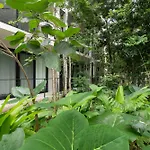 Jungle Studios At 525 Tulum