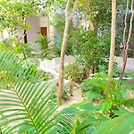Renta Depa 1 Hab En La Veleta Tulum