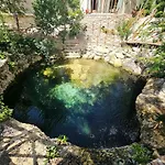 Amazing Luxury Studio With Cenote-