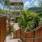 Amazing Luxury With Cenote-