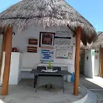 Apartamento Deptos Alma Tulum
