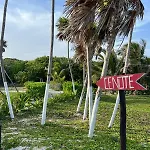 Beachfront Condominium In Tulum