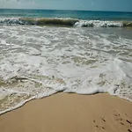 Punta Piedra Hotel 3*