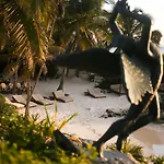 Diamante K - Inside National Park Tulum