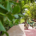 Mereva Hotel Tulum