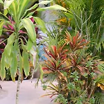 Apartahotel Livetulum 4*