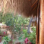 Casa Mango