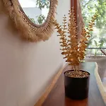 Stylish 3br Penthouse Haven With Plunge Pool Private Rooftop Pool & Jungle Panorama Holiday home Tulum