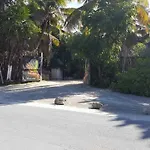 Playa Palmas Glamping Hotel Tulum